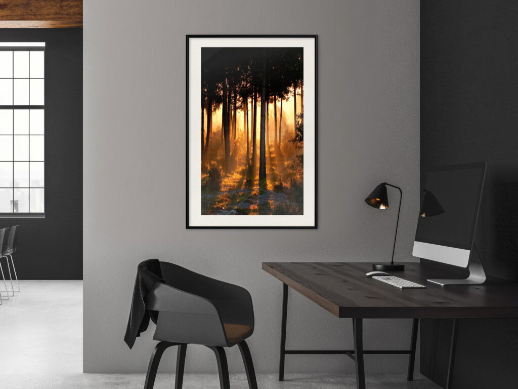 Dark Tree Tops - Afbeelding 5