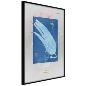Alga Cyanotype