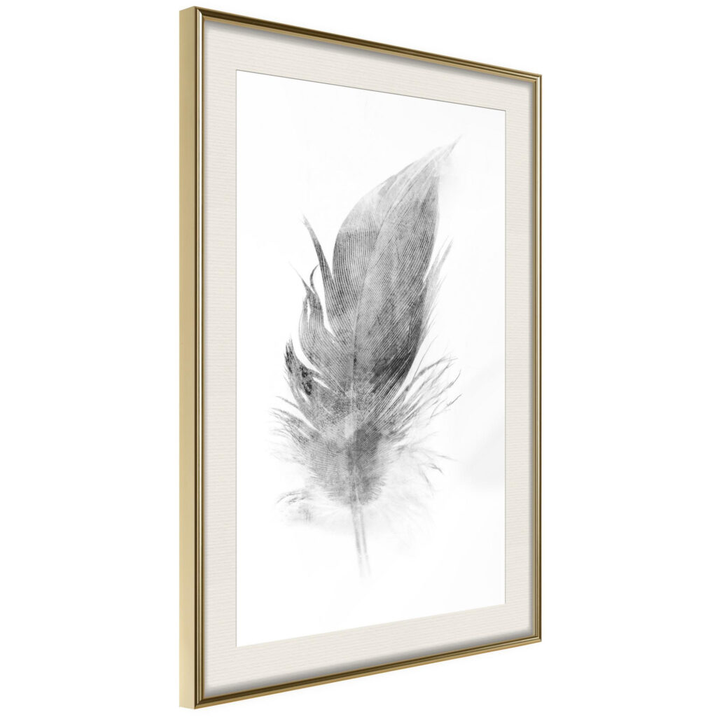Lost Feather (Grey) - Afbeelding 2