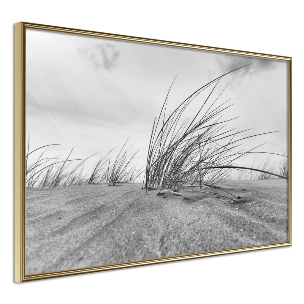 Seaside Dunes - Afbeelding 2