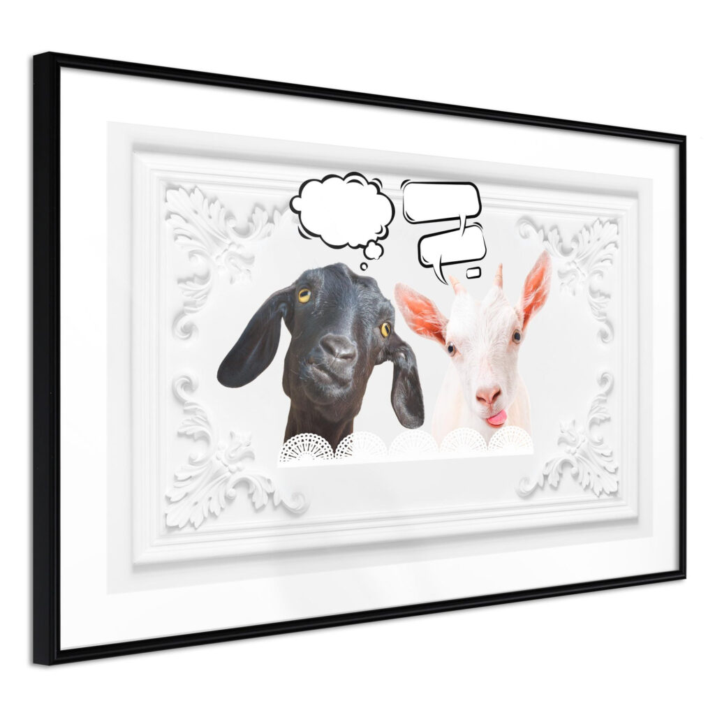 Conversation of Two Goats