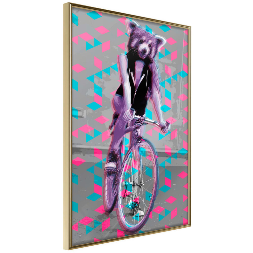 Extraordinary Cyclist
