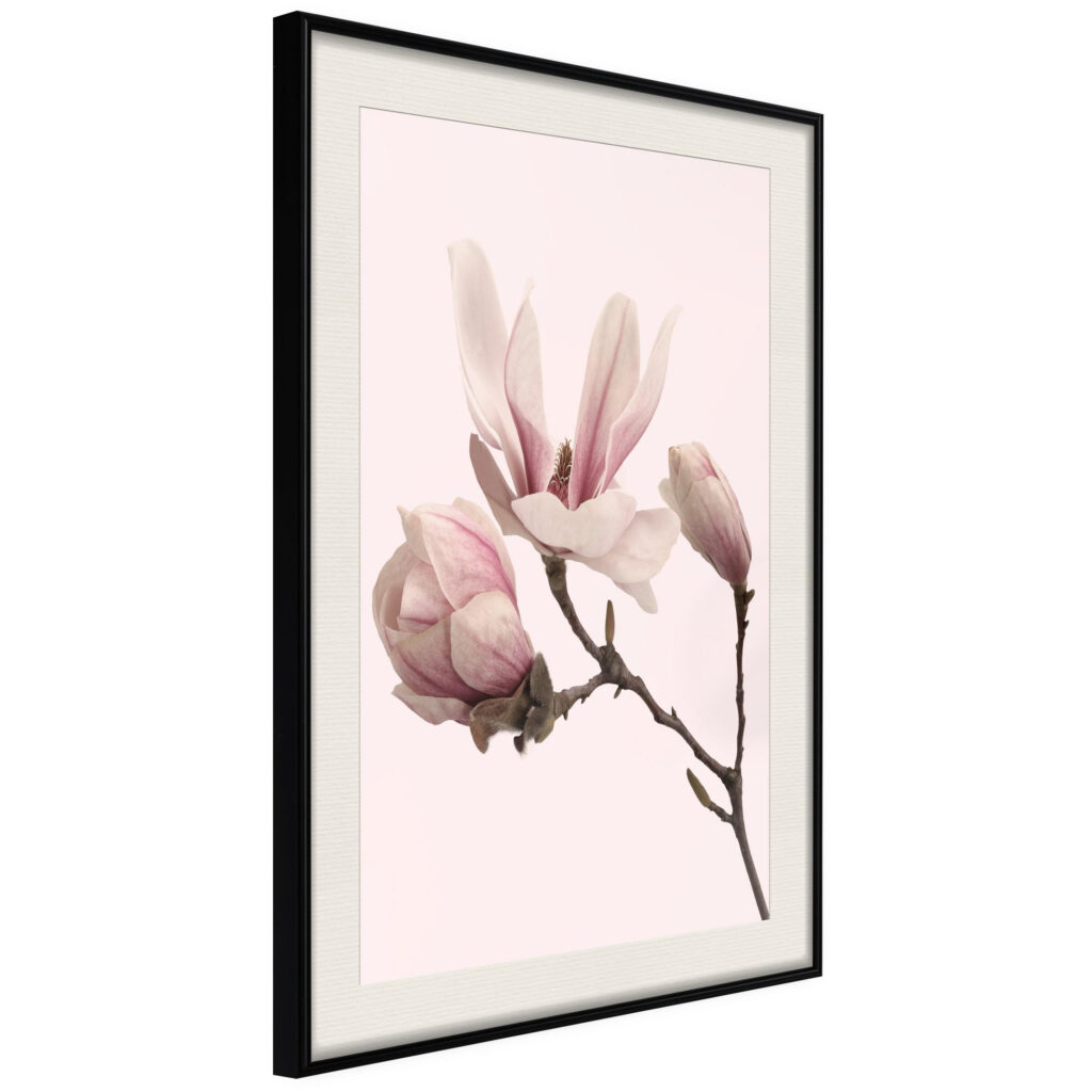 Blooming Magnolias II - Afbeelding 2