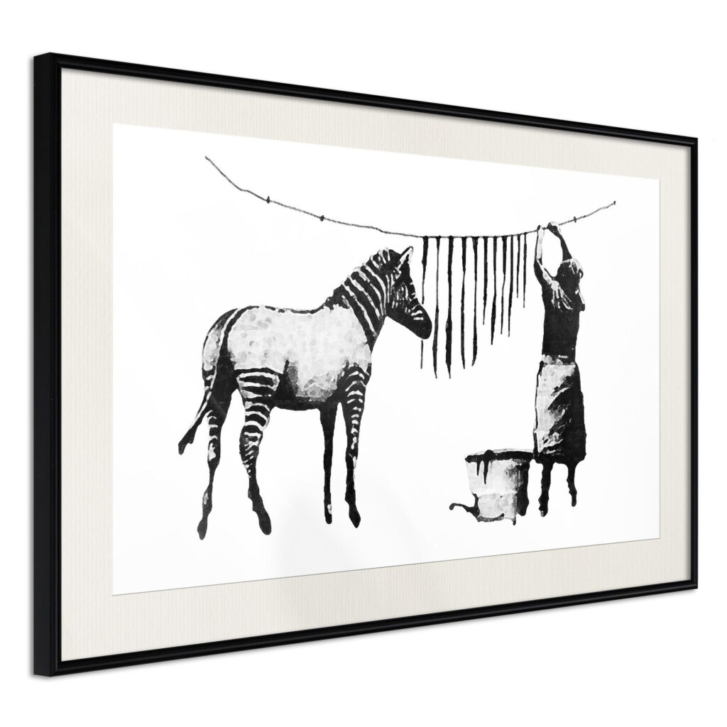 Banksy: Washing Zebra Stripes
