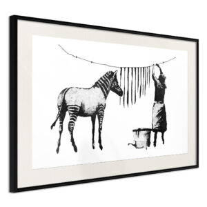 Banksy: Washing Zebra Stripes