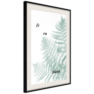 Pale Green Fern
