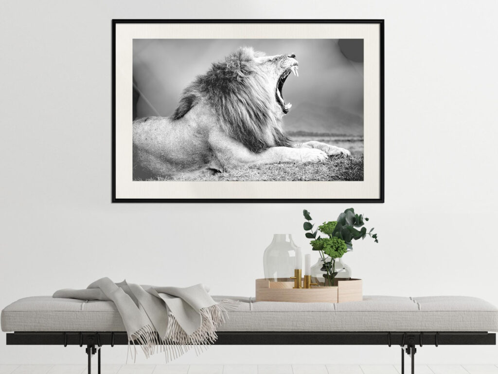 Yawning Lion