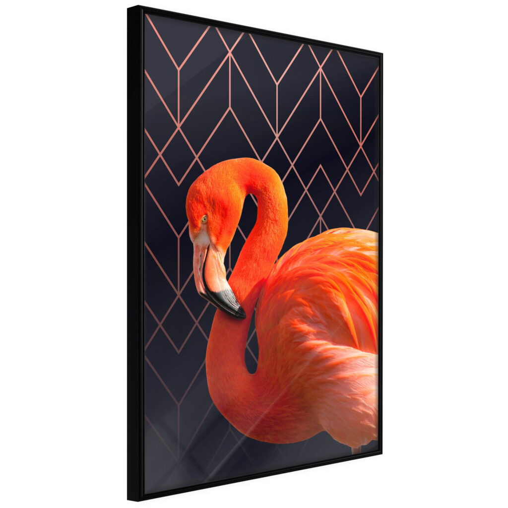 Orange Flamingo