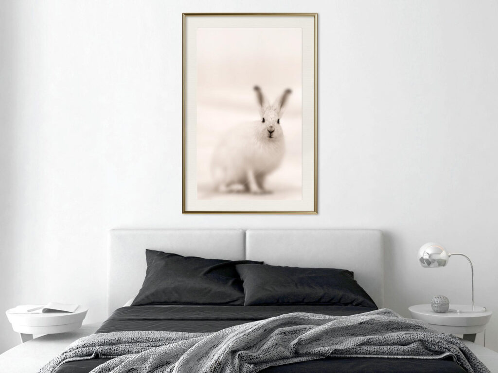 Curious Rabbit - Afbeelding 4