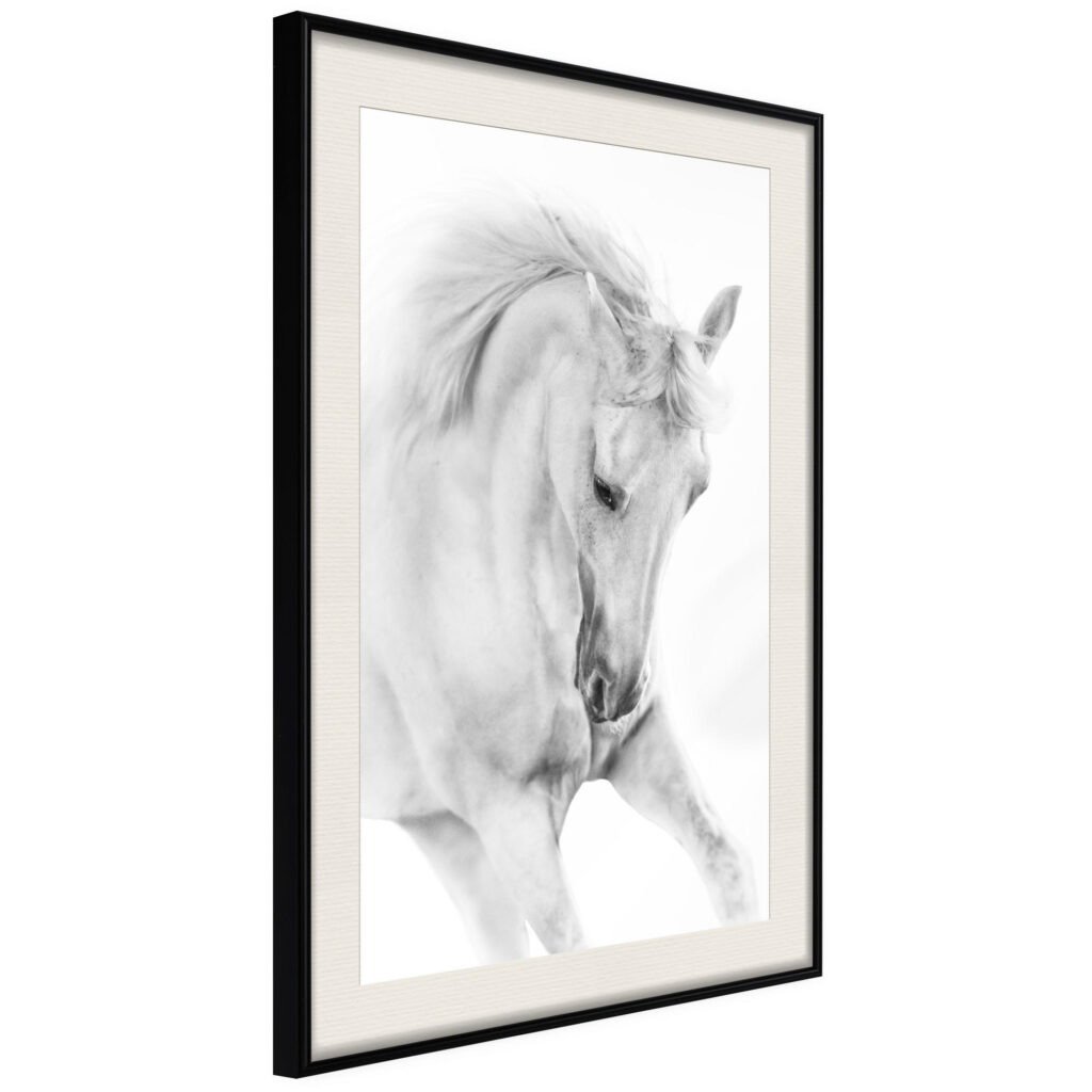 Beauty in Motion - Afbeelding 2
