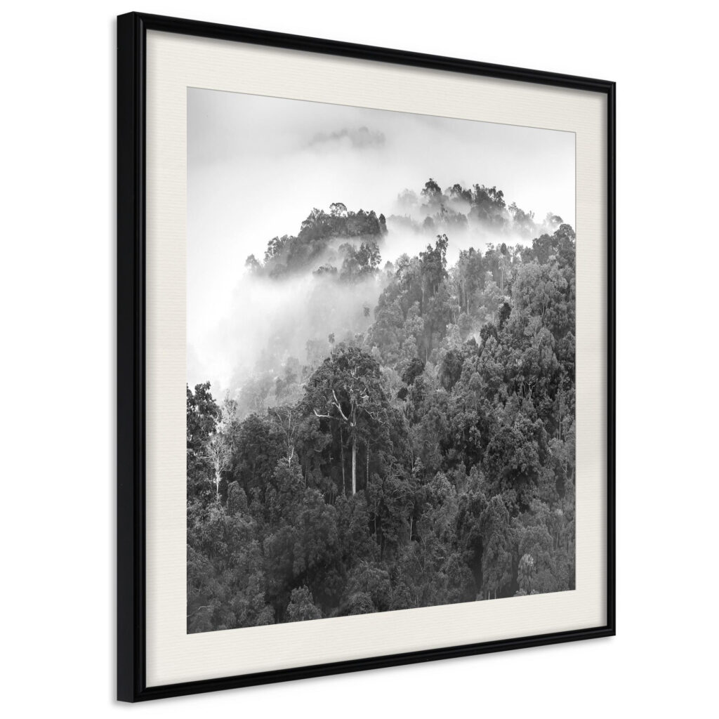 Foggy Forest - Afbeelding 2