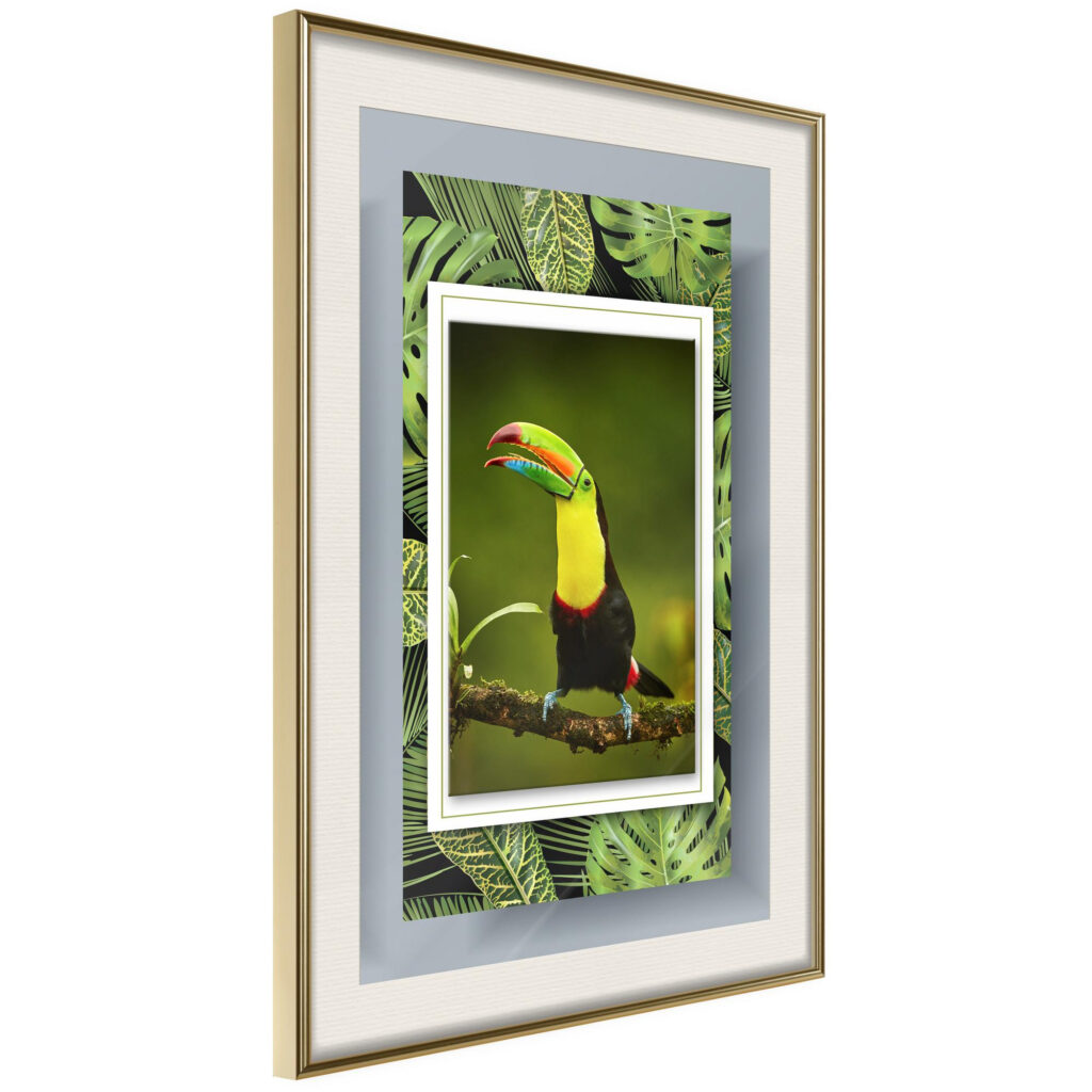 Toucan in the Frame