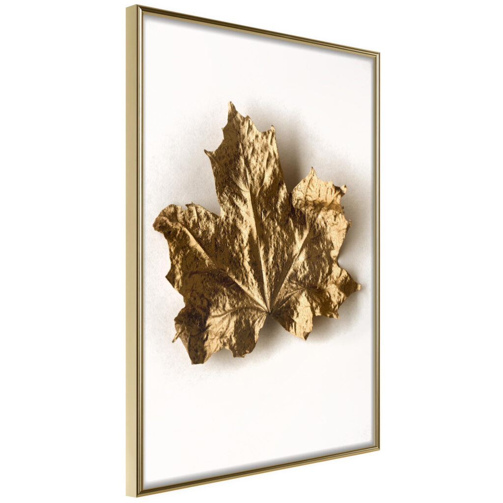 Dried Maple Leaf