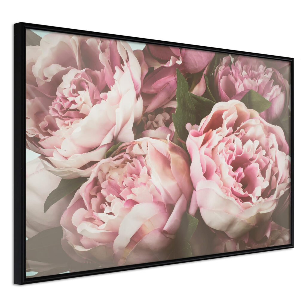 Pastel Peonies