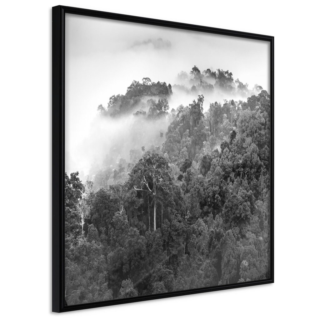 Foggy Forest