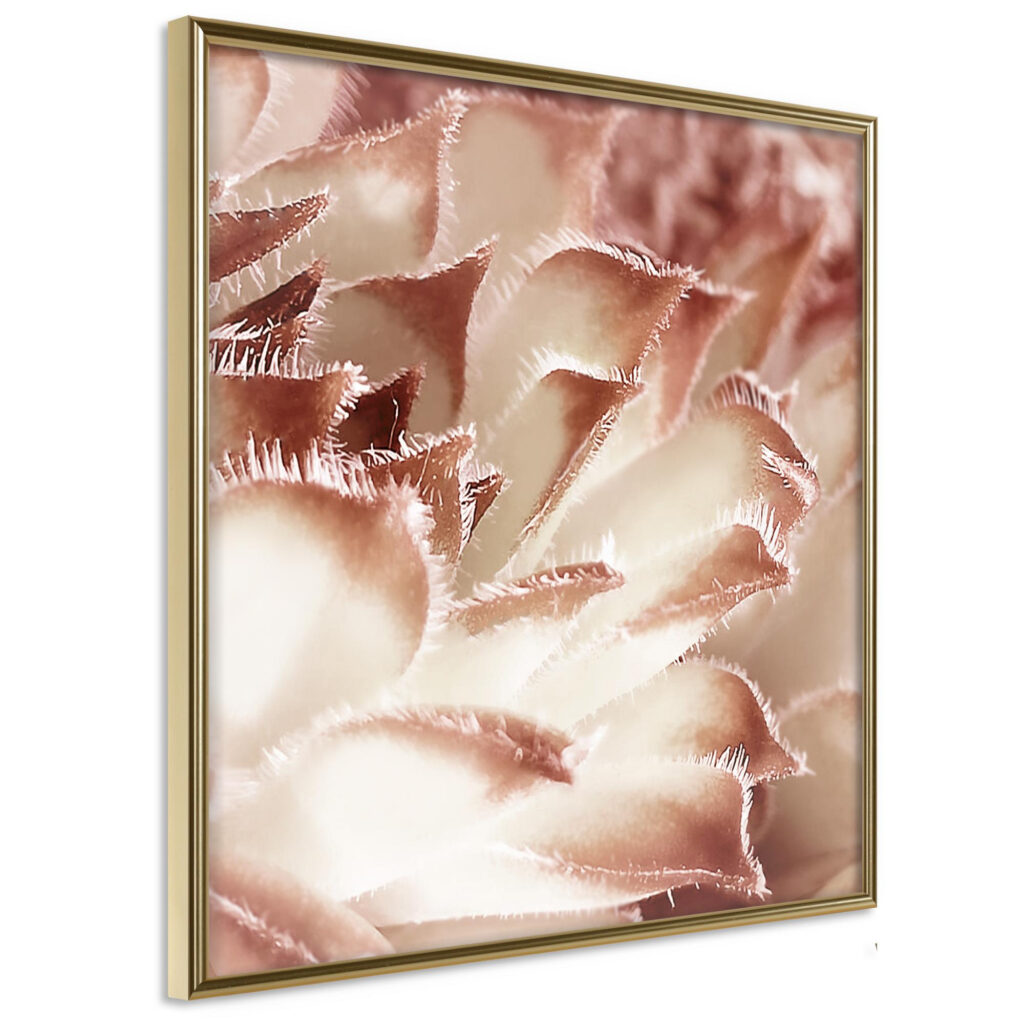 Floral Calyx