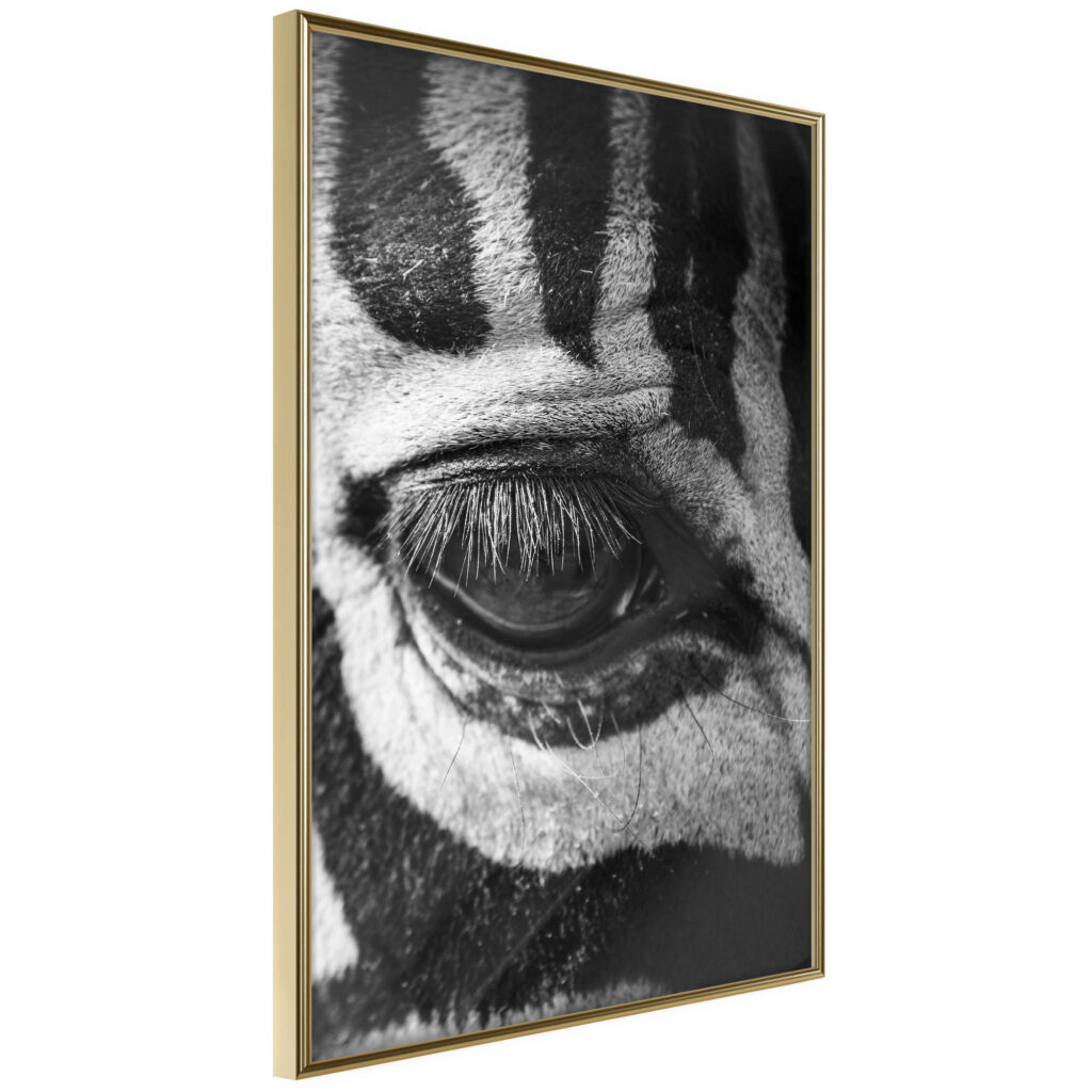 Zebra Is Watching You - Afbeelding 3