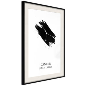 Zodiac: Cancer I