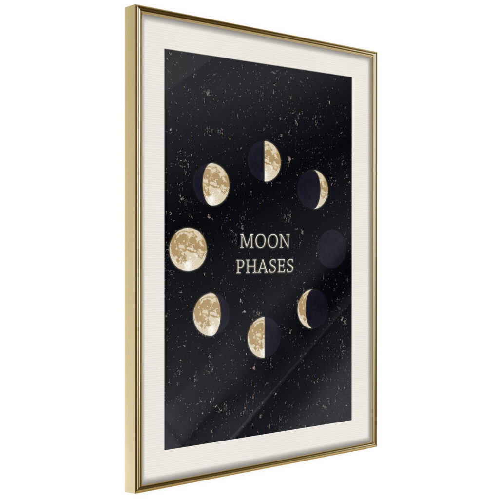 In the Rhythm of the Moon - Afbeelding 2