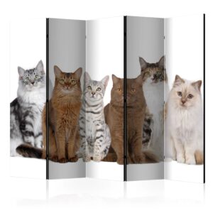 Vouwscherm - Sweet Cats II [Room Dividers]