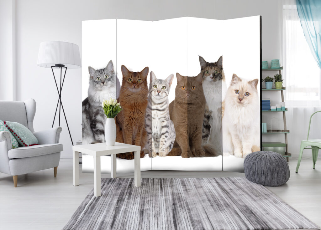 Vouwscherm - Sweet Cats II [Room Dividers] - Afbeelding 2