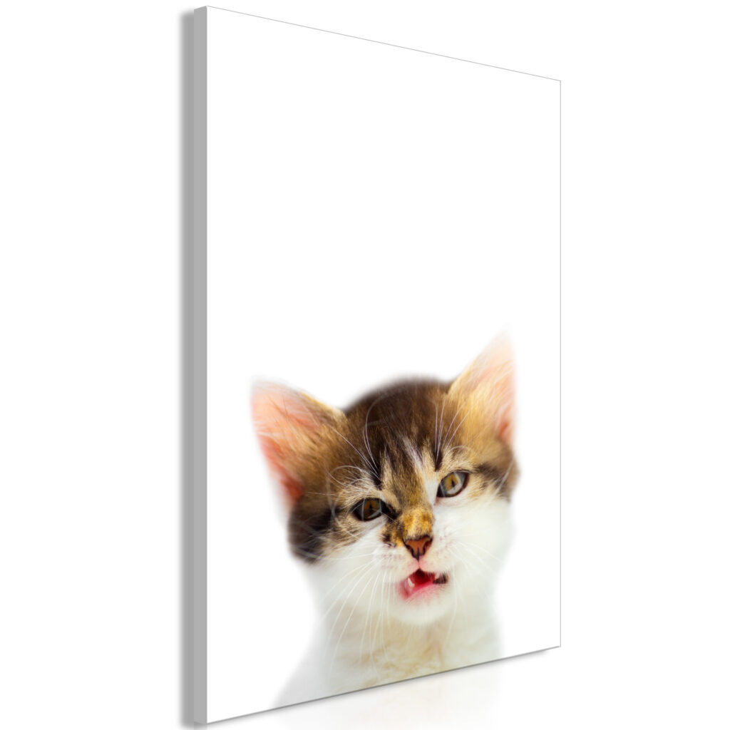 Schilderij - Vexed Cat (1 Part) Vertical
