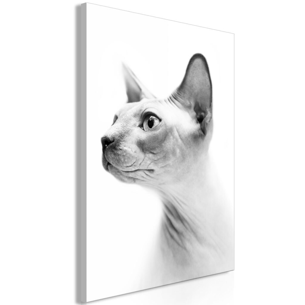 Schilderij - Hairless Cat (1 Part) Vertical