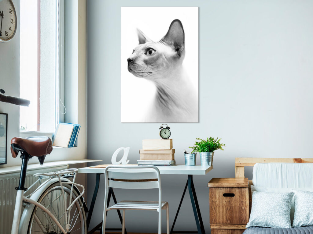 Schilderij - Hairless Cat (1 Part) Vertical - Afbeelding 2