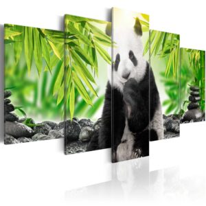 Schilderij - Sweet Little Panda