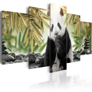Schilderij - Cute Panda Bear