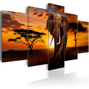 Schilderij - The Savannah King