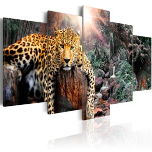 Schilderij - Leopard Relaxation