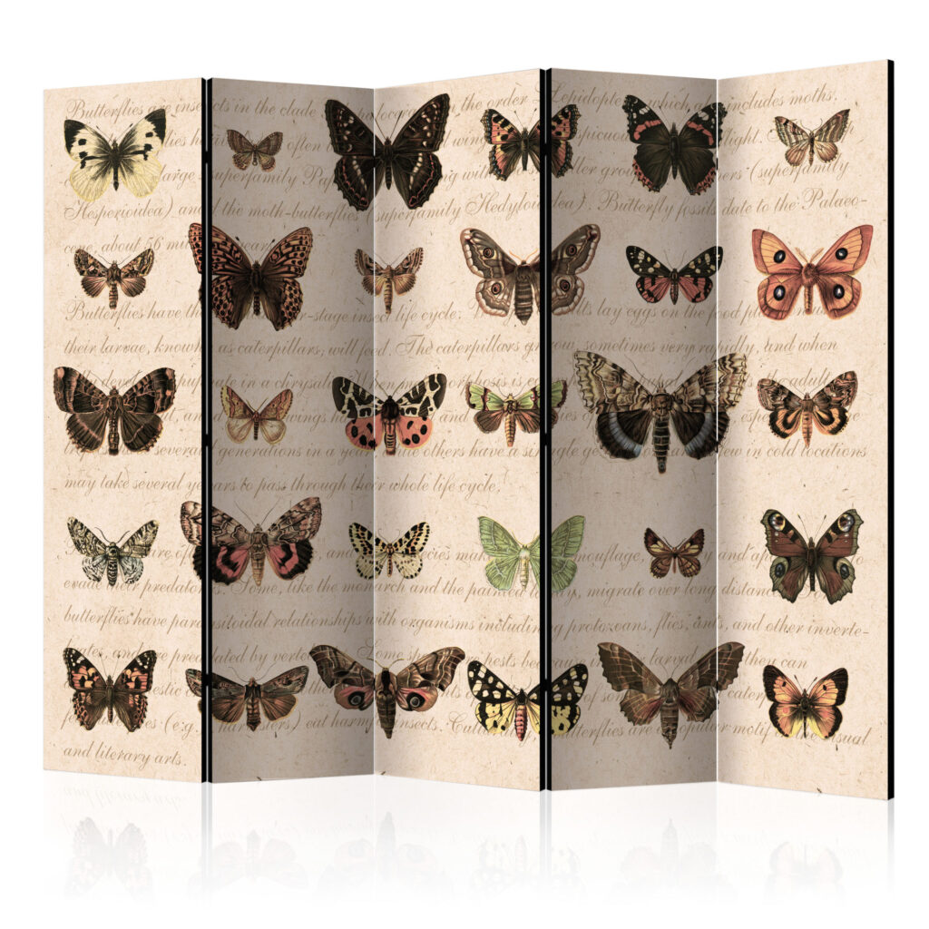 Vouwscherm - Retro Style: Butterflies II [Room Dividers]