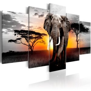 Schilderij - Elephant at Sunset