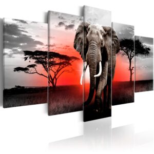 Schilderij - Lonely Elephant