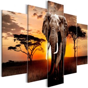 Schilderij - Wandering Elephant (5 Parts) Wide