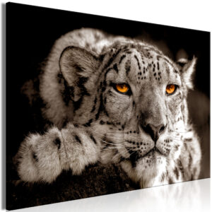 Schilderij - Magic Eyes (1 Part) Wide