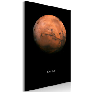 Schilderij - Mars (1 Part) Vertical