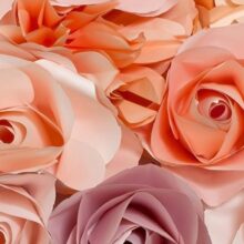 Alternative view of Foto behang Flowers 00147