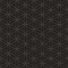 Vinyl op vlies behang 22054 Amazonia Cristiana Masi