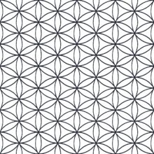 Vinyl op vlies behang 22051 Amazonia Cristiana Masi