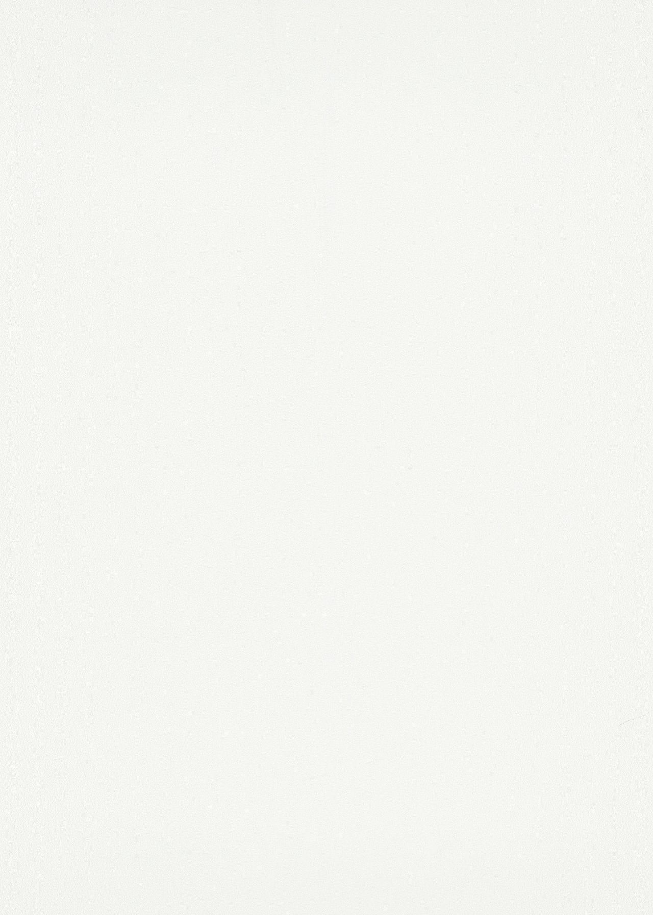 Vlies behang wit 10335-01 Erismann