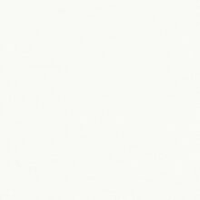 Vlies behang wit 10215-01 Erismann