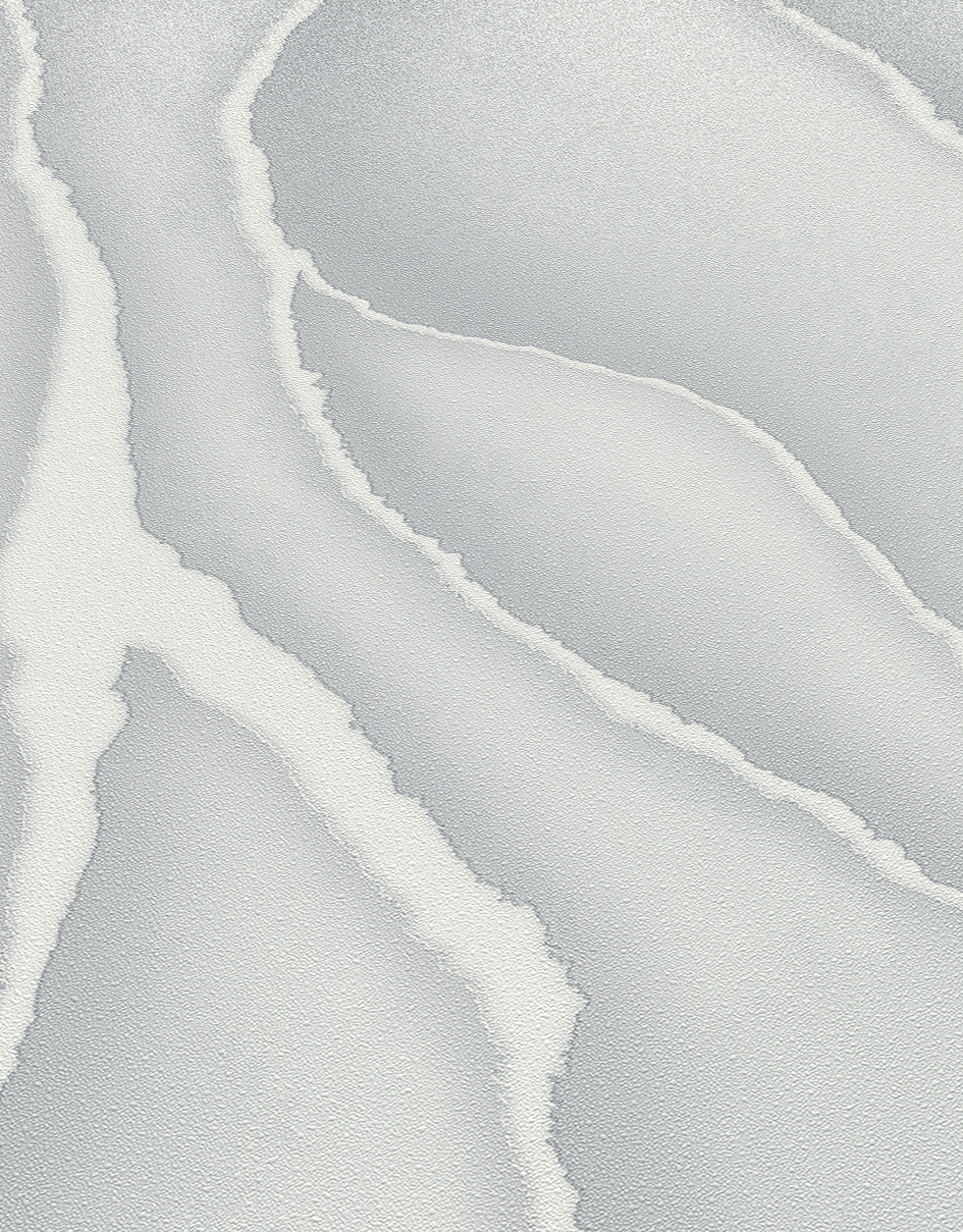 Vlies behang 10345-10 Erismann