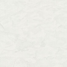 Vlies behang wit 10329-01 Erismann